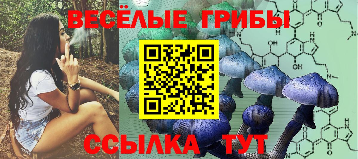 Псилоцибиновые грибы GOLDEN TEACHER  Вход с VPN  Галлюциногенные грибы ЛСД  Чебоксары 